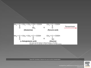 Figure 69-3 Synthesis of alanine from pyruvic acid by transamination.
Downloaded from: StudentConsult (on 9 April 2012 10:26 PM)
© 2005 Elsevier
 