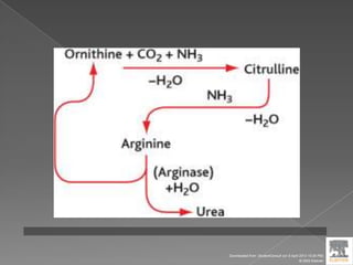 Downloaded from: StudentConsult (on 9 April 2012 10:26 PM)
© 2005 Elsevier
 