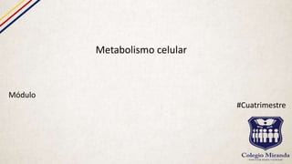 Metabolismo celular
Módulo
#Cuatrimestre
 