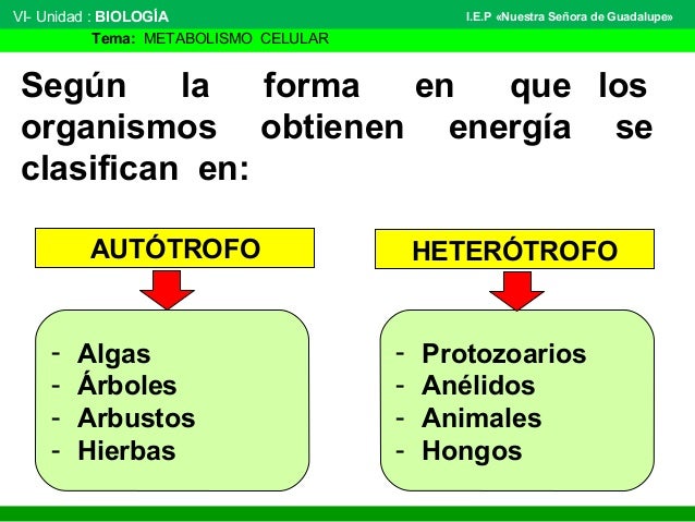 La mejor solución para dietoterapia nutrición clínica y metabolismo