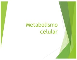 Metabolismo
celular
 