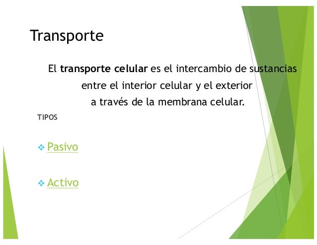 métodos eficientes con Menú dieta cetogénica
