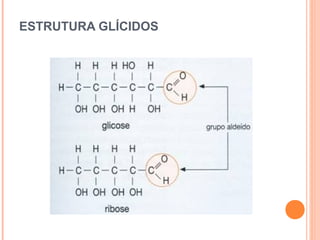 ESTRUTURA GLÍCIDOS
 