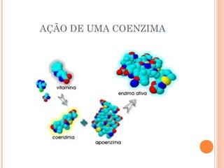 AÇÃO DE UMA COENZIMA
 