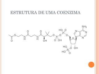 ESTRUTURA DE UMA COENZIMA
 