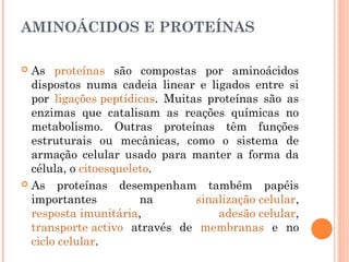 AMINOÁCIDOS E PROTEÍNAS
 As proteínas são compostas por aminoácidos
dispostos numa cadeia linear e ligados entre si
por ligações peptídicas. Muitas proteínas são as
enzimas que catalisam as reações químicas no
metabolismo. Outras proteínas têm funções
estruturais ou mecânicas, como o sistema de
armação celular usado para manter a forma da
célula, o citoesqueleto.
 As proteínas desempenham também papéis
importantes na sinalização celular,
resposta imunitária, adesão celular,
transporte activo através de membranas e no
ciclo celular.
 