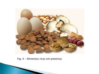 Fig. 4 – Alimentos ricos em proteínas
 