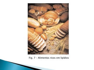 Fig. 7 – Alimentos ricos em lipídios
 