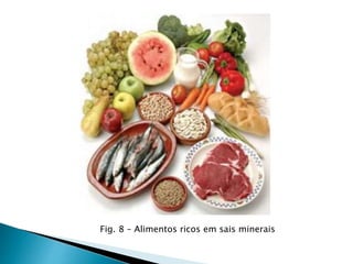 Fig. 8 – Alimentos ricos em sais minerais
 