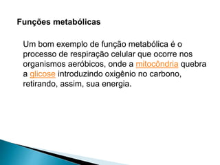 Funções metabólicas
Um bom exemplo de função metabólica é o
processo de respiração celular que ocorre nos
organismos aeróbicos, onde a mitocôndria quebra
a glicose introduzindo oxigênio no carbono,
retirando, assim, sua energia.
 
