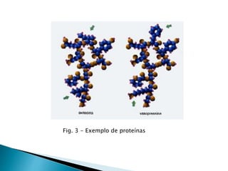 Fig. 3 - Exemplo de proteínas
 