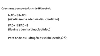 NAD+ NADH
(nicotinamida adenina dinucleotídeo)
FAD+ FADH2
(flavina adenina dinucleotídeo)
Para onde os Hidrogênios serão levados???
Coenzimas transportadoras de Hidrogênio
 