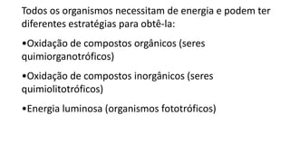 Todos os organismos necessitam de energia e podem ter
diferentes estratégias para obtê-la:
•Oxidação de compostos orgânicos (seres
quimiorganotróficos)
•Oxidação de compostos inorgânicos (seres
quimiolitotróficos)
•Energia luminosa (organismos fototróficos)
 