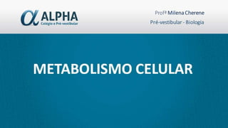 Metabolismo celular alpha
