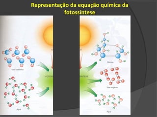 Representação da equação química da
            fotossíntese
 
