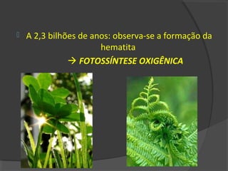    A 2,3 bilhões de anos: observa-se a formação da
                       hematita
                FOTOSSÍNTESE OXIGÊNICA
 