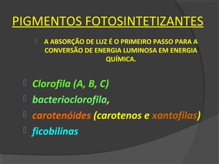 PIGMENTOS FOTOSINTETIZANTES
        A ABSORÇÃO DE LUZ É O PRIMEIRO PASSO PARA A
         CONVERSÃO DE ENERGIA LUMINOSA EM ENERGIA
                          QUÍMICA.


  Clorofila (A, B, C)
  bacterioclorofila,
  carotenóides (carotenos e xantofilas)
  ficobilinas
 