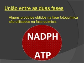 União entre as duas fases
 Alguns produtos obtidos na fase fotoquímica
 são utilizados na fase química.



            NADPH
                ATP
 