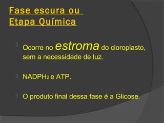 Fase escura ou
Etapa Química

 
     Ocorre no estroma       do cloroplasto,
     sem a necessidade de luz.

    NADPH2 e ATP.

    O produto final dessa fase é a Glicose.
 