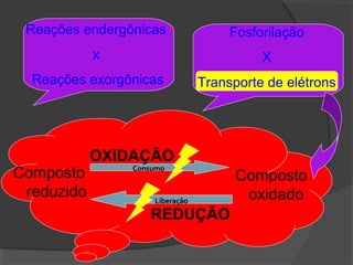Reações endergônicas                Fosforilação
            x                             X
  Reações exorgônicas           Transporte de elétrons




            OXIDAÇÃO
                Consumo
Composto                              Composto
 reduzido           Liberação          oxidado
                   REDUÇÃO
 