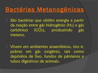 Bactérias Metanogênicas
   São bactérias que obtêm energia a partir
    da reação entre gás hidrogênio (H2) e gás
    carbônico (CO2), produzindo gás
    metano.

   Vivem em ambientes anaeróbicos, isto é,
    pobres em gás oxigênio, tais como
    depósitos de lixo, fundos de pântanos e
    tubos digestivos de animais.
 
