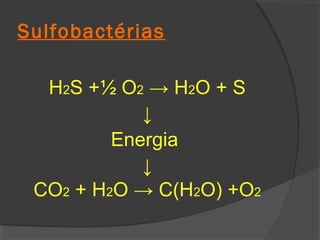Sulfobactérias

  H2S +½ O2 → H2O + S
            ↓
         Energia
            ↓
 CO2 + H2O → C(H2O) +O2
 