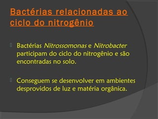 Bactérias relacionadas ao
ciclo do nitrogênio

   Bactérias Nitrossomonas e Nitrobacter
    participam do ciclo do nitrogênio e são
    encontradas no solo.

   Conseguem se desenvolver em ambientes
    desprovidos de luz e matéria orgânica.
 