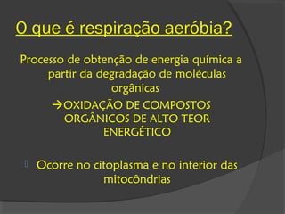 O que é respiração aeróbia?
Processo de obtenção de energia química a
     partir da degradação de moléculas
                 orgânicas
      OXIDAÇÃO DE COMPOSTOS
          ORGÂNICOS DE ALTO TEOR
               ENERGÉTICO

    Ocorre no citoplasma e no interior das
                 mitocôndrias
 