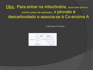 Obs.: Para entrar na mitocôndria, local onde ocorre o
        próximo passo da respiração, o piruvato é

 descarboxilado e associa-se à Co-enzima A

                         O NAD retira H do Piruvato
 