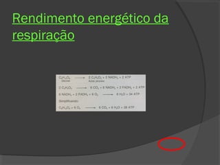 Rendimento energético da
respiração
 