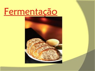Fermentação
 