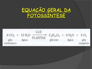 EQUAÇÃO GERAL DA
  FOTOSSÍNTESE
 