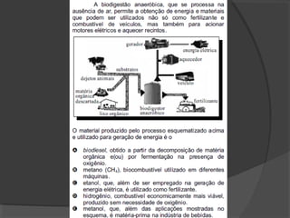Metabolismo celular (completo)