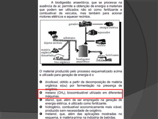 Metabolismo celular (completo)