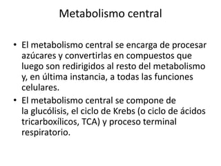 Metabolismo central

• El metabolismo central se encarga de procesar
  azúcares y convertirlas en compuestos que
  luego son redirigidos al resto del metabolismo
  y, en última instancia, a todas las funciones
  celulares.
• El metabolismo central se compone de
  la glucólisis, el ciclo de Krebs (o ciclo de ácidos
  tricarboxílicos, TCA) y proceso terminal
  respiratorio.
 