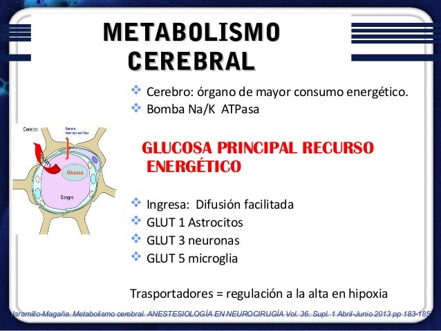Por eso nunca va a metabolismo hidrocarbonado bajo