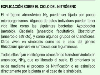 Biología. 2º Bachillerato
METABOLISMO
 