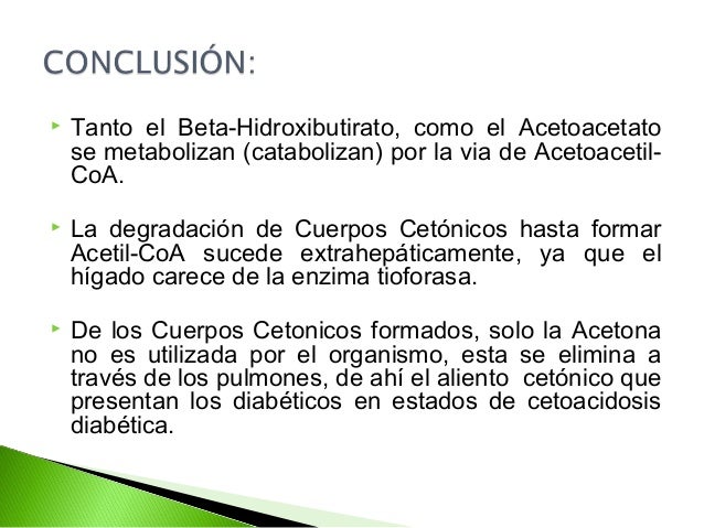Metabolismo de cuerpos cetónicos Metabolismo de cuerpos cetónicos