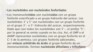 METABOLISMO DE AC NUCLEICOS I.pptx