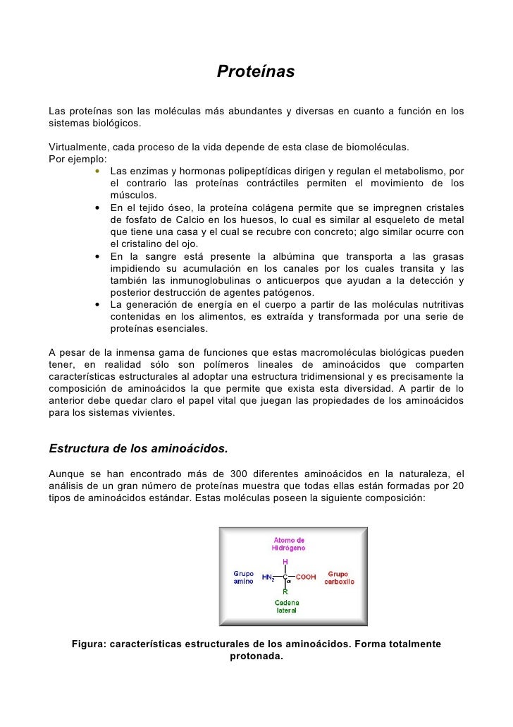 Una palabra: atp metabolismo