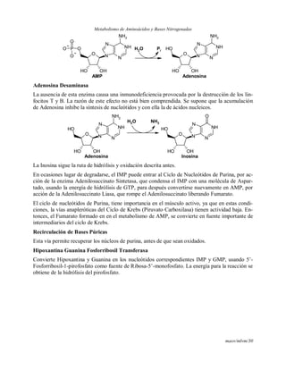 Marca y Metabolismo