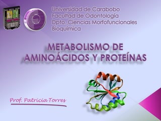 Universidad de Carabobo Facultad de Odontología Dpto. Ciencias Morfofuncionales Bioquímica METABOLISMO DE AMINOÁCIDOS Y PROTEÍNAS 