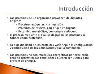    Las proteínas de un organismo provienen de distintos
    orígenes:
         - Proteínas exógenas, vía ingestión
      ...