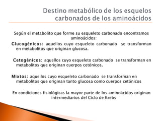 Metabolismo de aminoácidos y proteínas