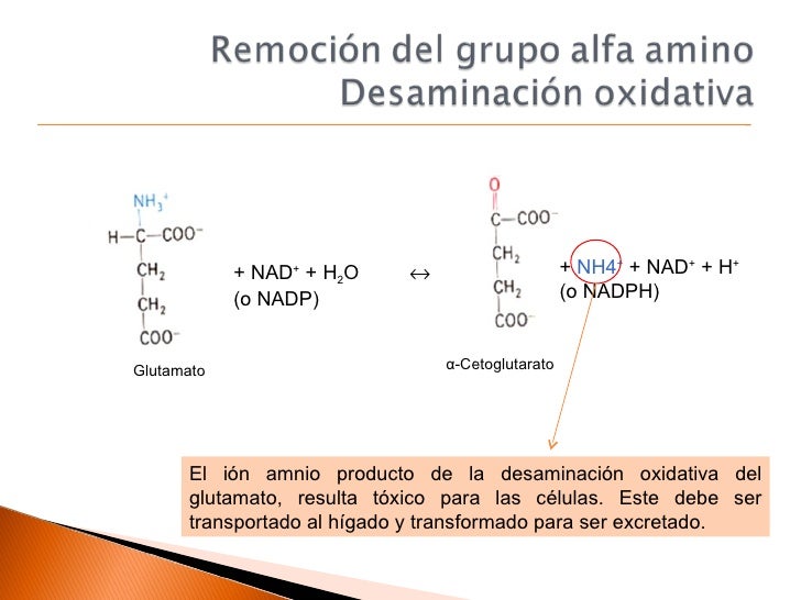 Una palabra: extreme makeover: edición de pérdida de peso
