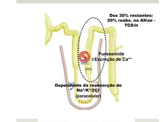 TCP reabsorveDos 30% restantes:
              60%    20% reabs. na AHae -
                            TCDin




                Furosemide
              Excreção de Ca++




Dependente da reabsorção de
        Na+/K+/2Cl-
       (paracelular)
 