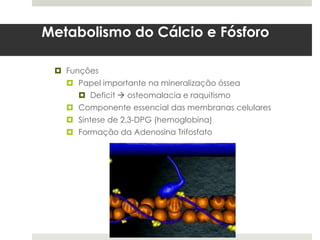 Metabolismo do Cálcio e Fósforo

  Funções
    Papel importante na mineralização óssea
      Deficit  osteomalacia e raquitismo
    Componente essencial das membranas celulares
    Sintese de 2,3-DPG (hemoglobina)
    Formação da Adenosina Trifosfato
 