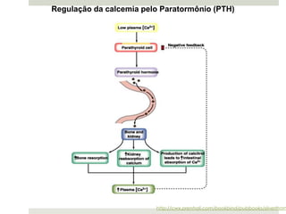 Regulação da calcemia pelo Paratormônio (PTH)




                         http://cwx.prenhall.com/bookbind/pubbooks/silverthorn
 