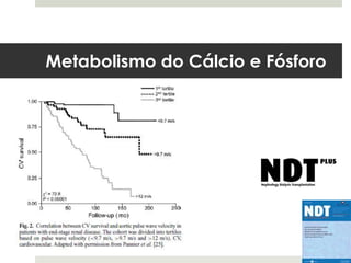 Metabolismo do Cálcio e Fósforo
 