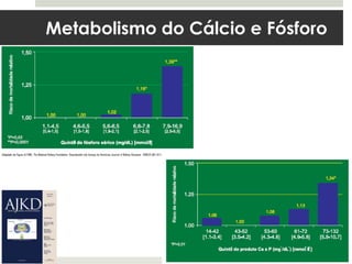 Metabolismo do Cálcio e Fósforo
 